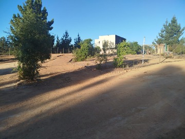 Venta / Parcela / Algarrobo