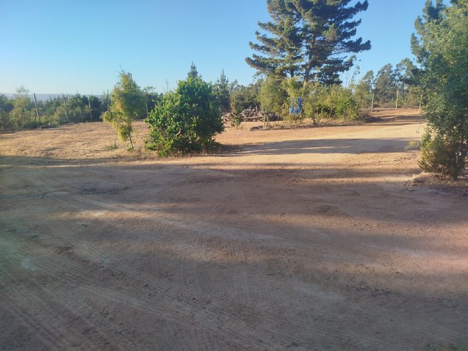 VENDO PARCELA ALGARROBO 5.000 M2