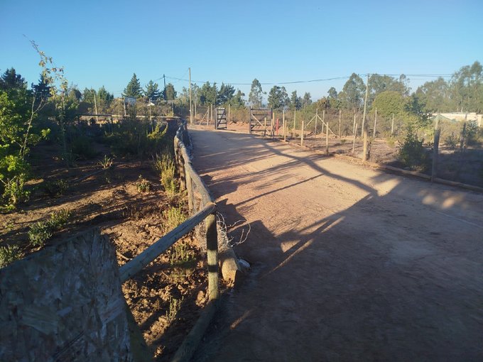 VENDO PARCELA ALGARROBO 5.000 M2