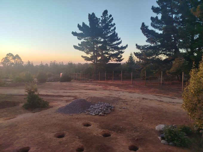 VENDO PARCELA ALGARROBO 5.000 M2