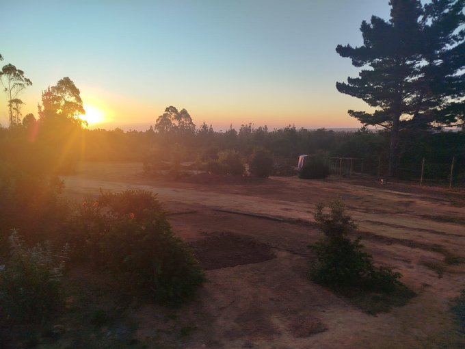 VENDO PARCELA ALGARROBO 5.000 M2