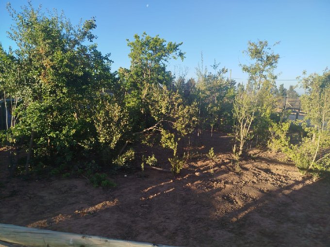 VENDO PARCELA ALGARROBO 5.000 M2