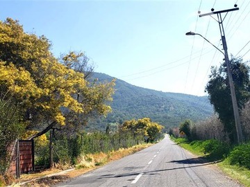Imagen 9