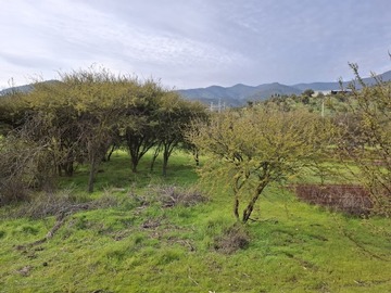 Imagen 11