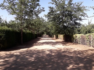 Venta / Parcela / Alhué