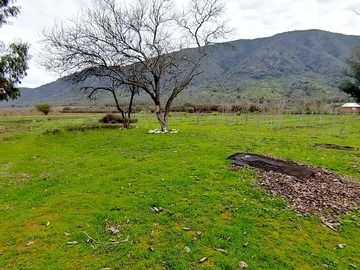 Imagen 7