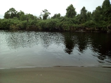 Imagen 15