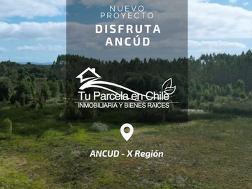 Venta / Parcela / Ancud