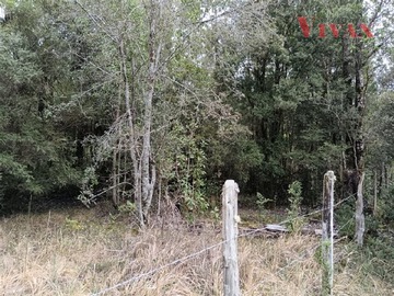 Imagen 33