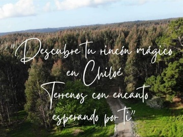 Imagen 13