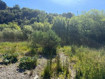 Venta / Parcela / Ancud