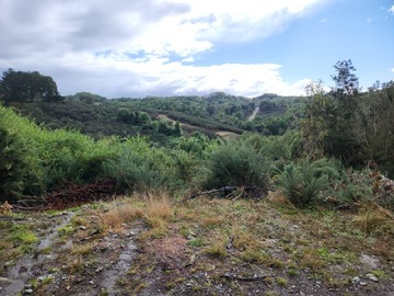 Venta / Parcela / Ancud