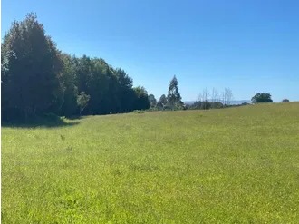 Venta / Parcela / Ancud
