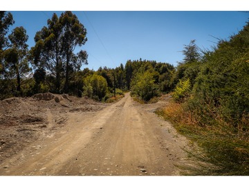 Imagen 12