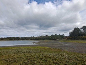 Venta / Parcela / Ancud