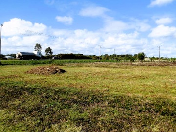 Imagen 11