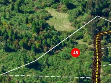 Venta / Parcela / Ancud