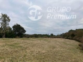 Venta / Parcela / Ancud
