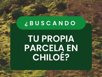 Venta / Parcela / Ancud