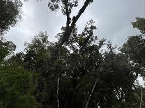 Venta / Parcela / Ancud