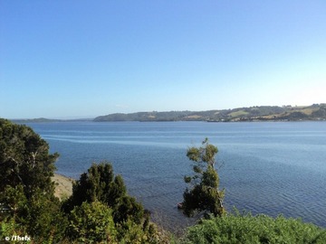 Venta / Parcela / Ancud