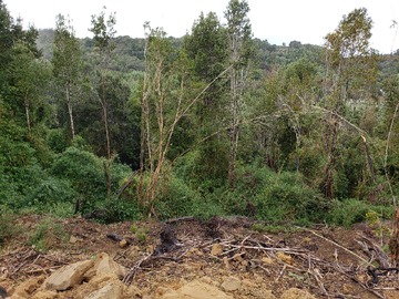 Imagen 5