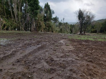Imagen 12