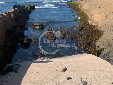 Imagen 6