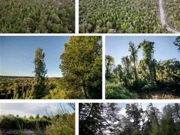 Imagen 18