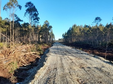 Venta / Parcela / Ancud