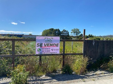 Venta / Parcela / Ancud