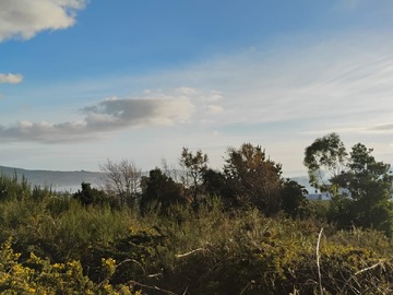 Venta / Parcela / Ancud