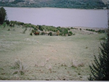 Imagen 7