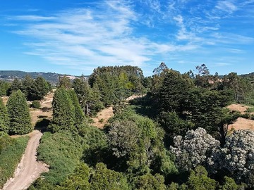 vista aerea hacia el terreno