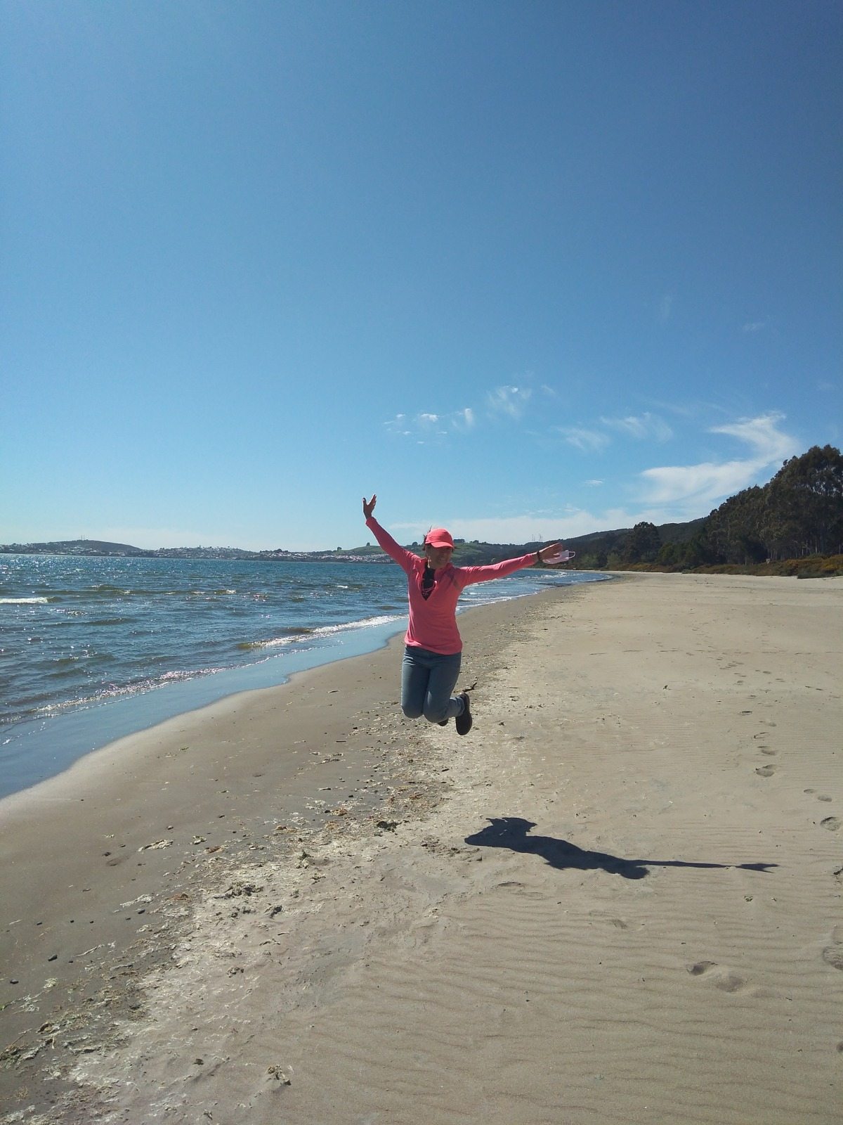 playa Lechagua a 50 mtrs
