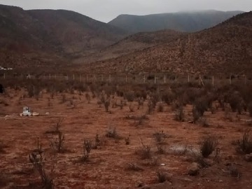 Imagen 8