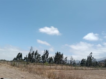 Imagen 13