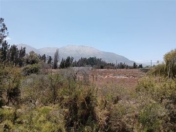 Imagen 18