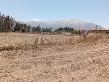Imagen 15