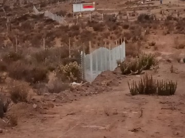 Imagen 6