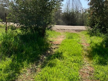 Venta / Parcela / Angol