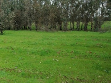 Imagen 7
