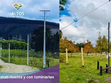 Imagen 11