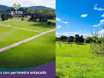 Imagen 9