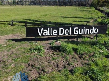 Imagen 12