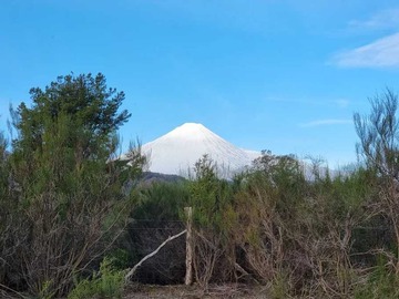 Venta / Parcela / Antuco