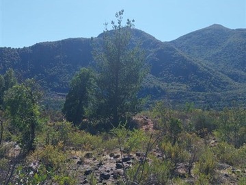Imagen 5