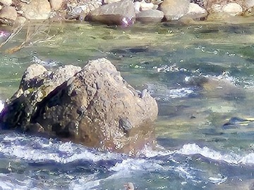 Imagen 6