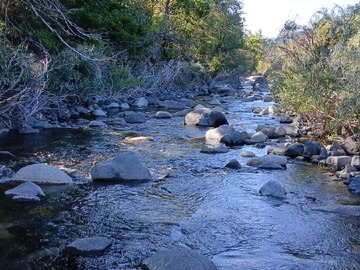 Estero Quillailebu