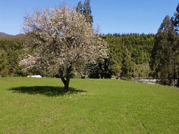 Venta / Parcela / Antuco